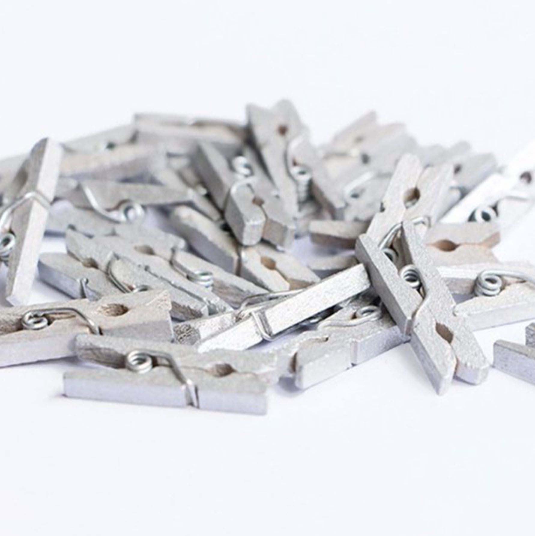 Metallic Wooden Clips
