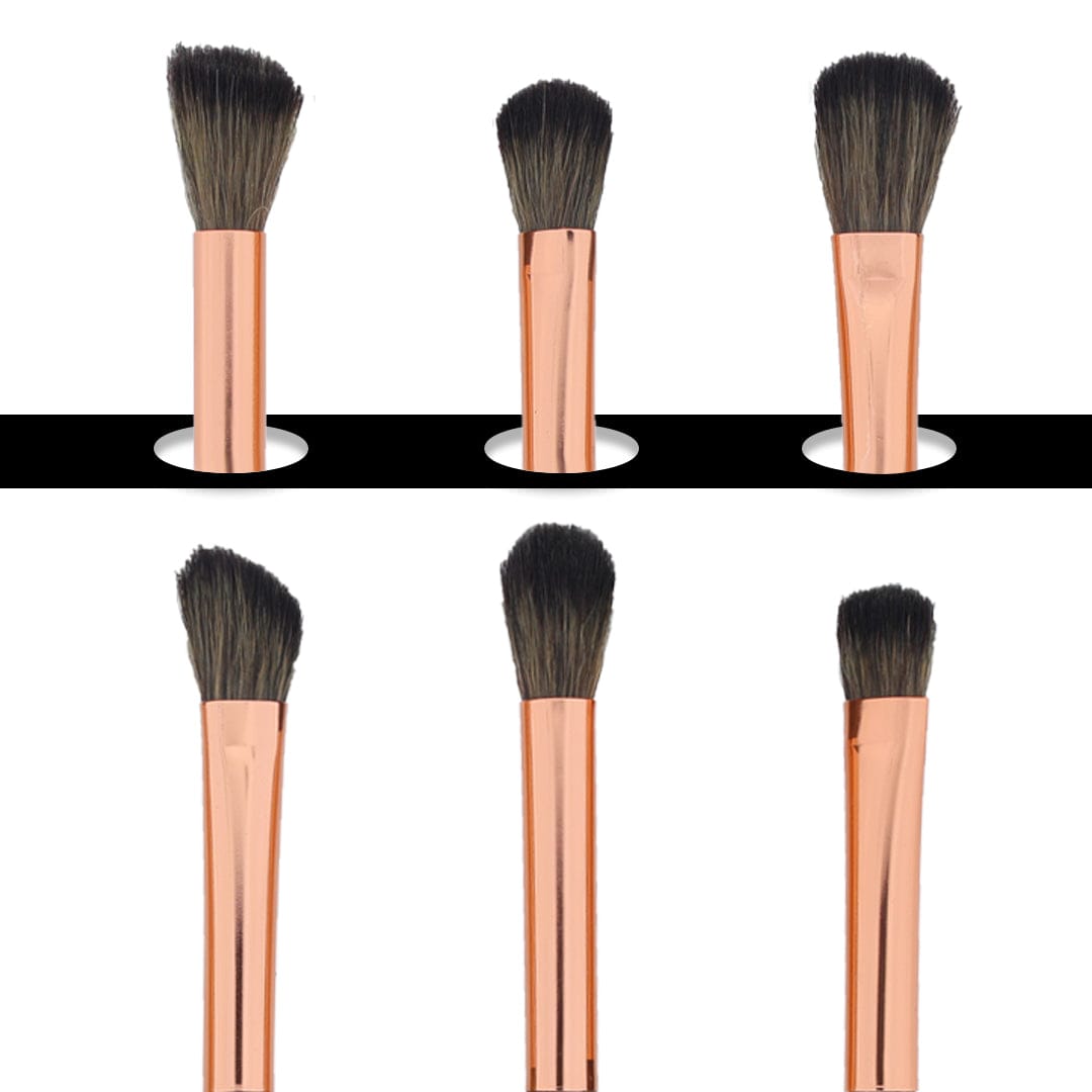6 in 1 Makeup Art Brush set With Wooden handle