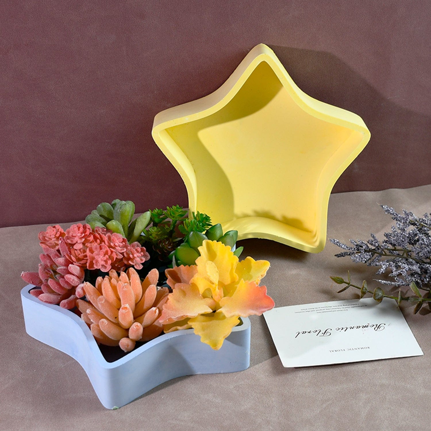 Large Star Bowl Mould