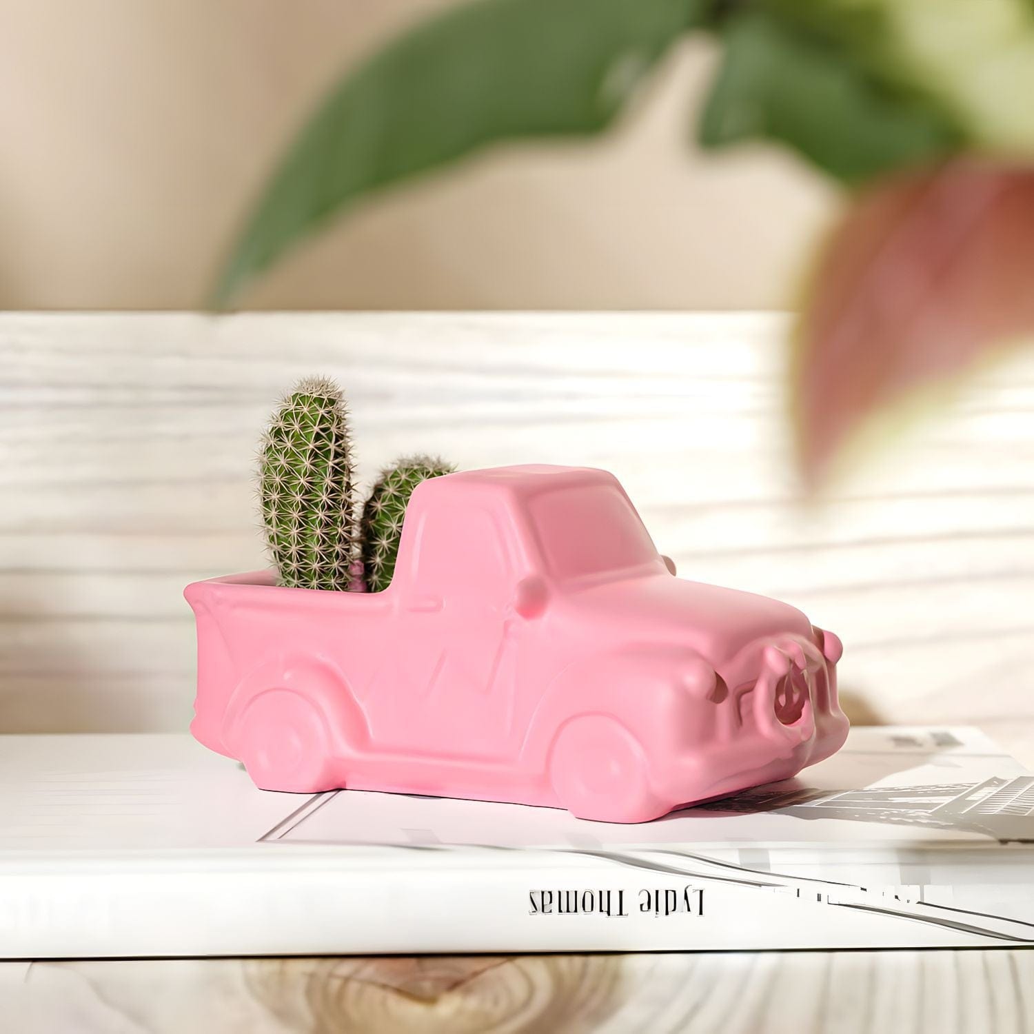 Car potted plant Mould