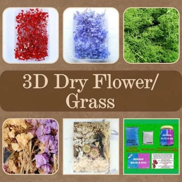 3D Dry Flower