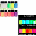 12 In 1 Glow In Dark Powder Pigment