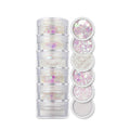6 In 1 Glitter & Chunks Holo White Sg03