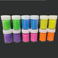 12 In 1 6 Flourscent Glitter Powder