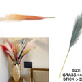 Orange Shaded Pampas Grass