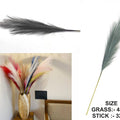 Black Shaded Pampas Grass