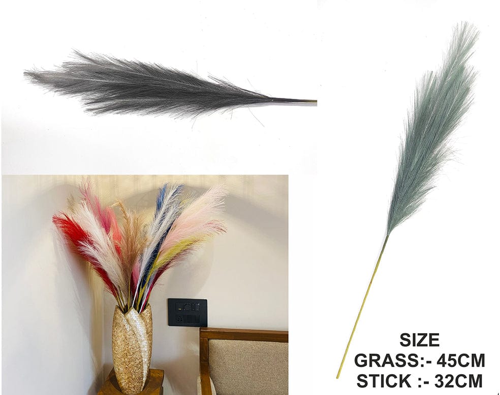 Black Shaded Pampas Grass