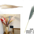L.Cream Shaded Pampas Grass