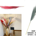 Red Shaded Pampas Grass