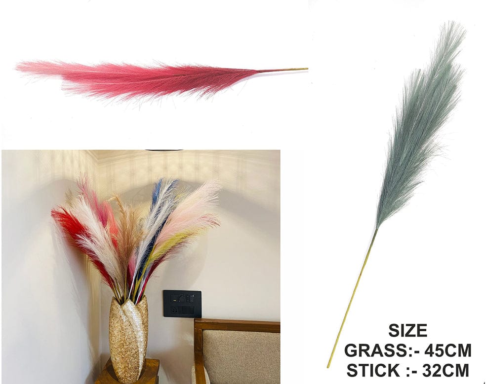 Red Shaded Pampas Grass