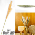 L.Green Father Pampas Grass