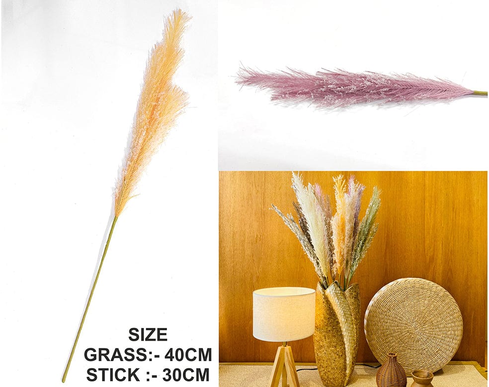Pink Father Pampas Grass