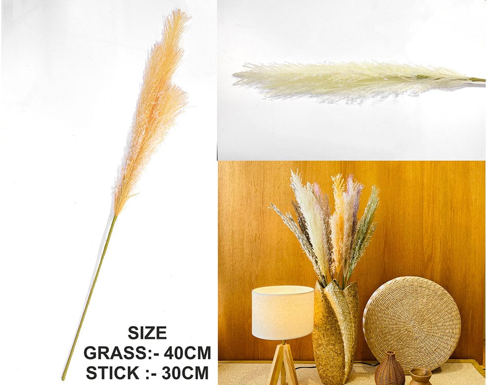 Off White Father Pampas Grass