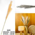 Green Father Pampas Grass