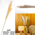 L.Brown Father Pampas Grass