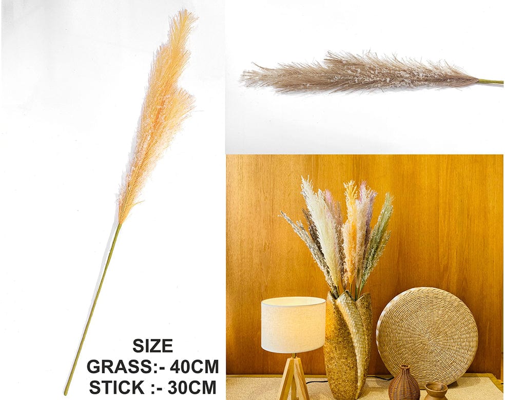 L.Brown Father Pampas Grass
