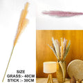 L.Pink Father Pampas Grass