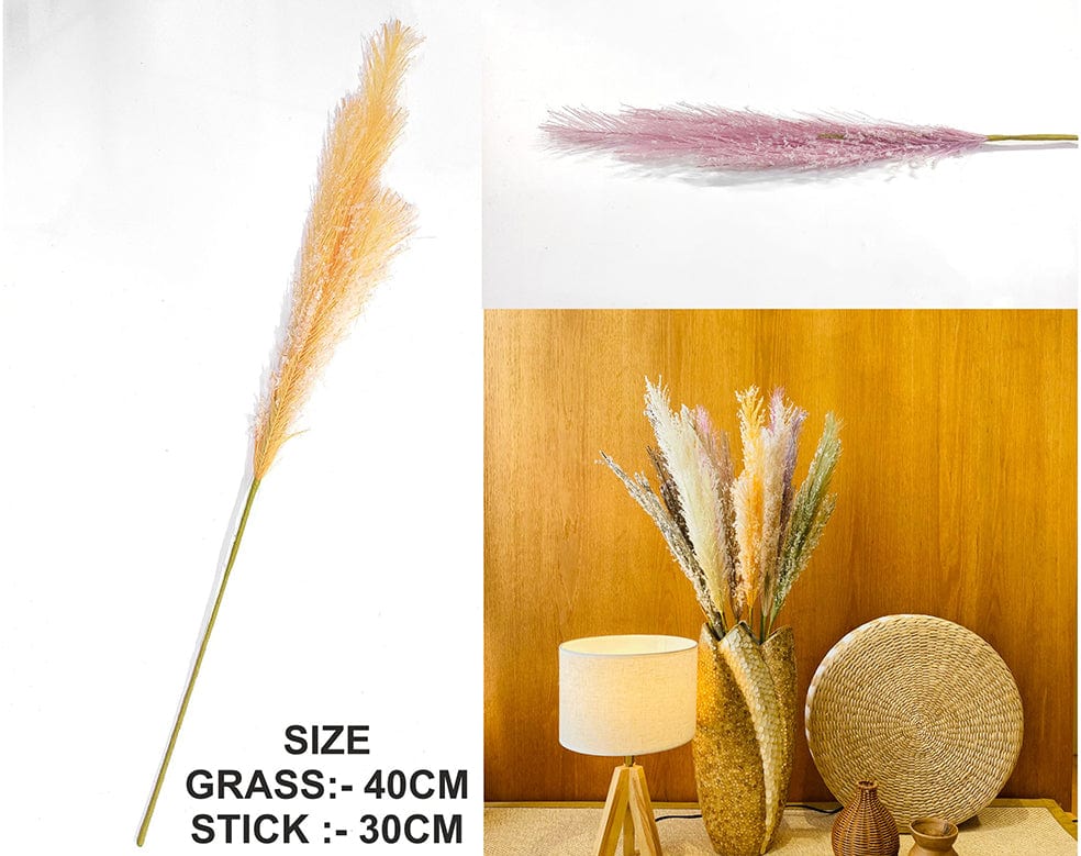 L.Pink Father Pampas Grass