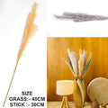 Lavender Father Pampas Grass