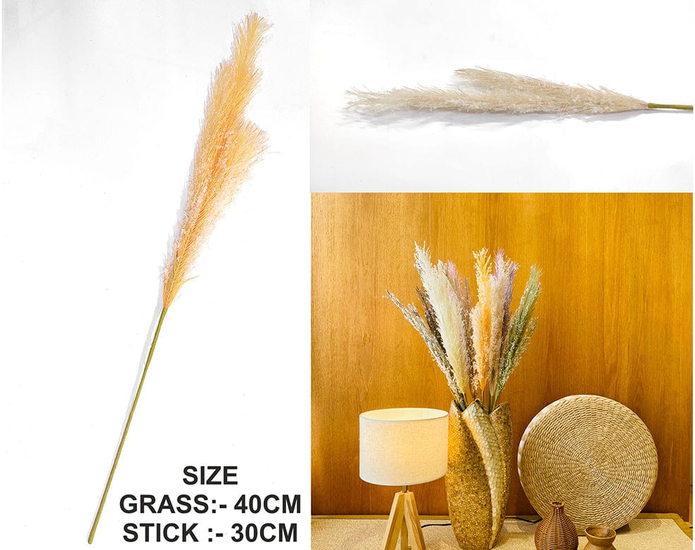 L.Cream Father Pampas Grass
