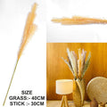 Orange Father Pampas Grass