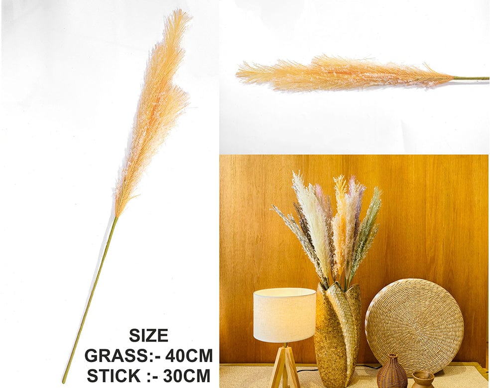 Orange Father Pampas Grass