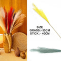 Smoke Gray Plain Pampas Grass