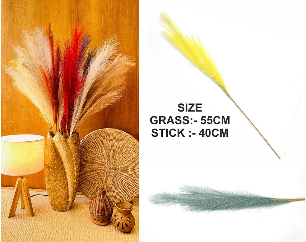 Smoke Gray Plain Pampas Grass