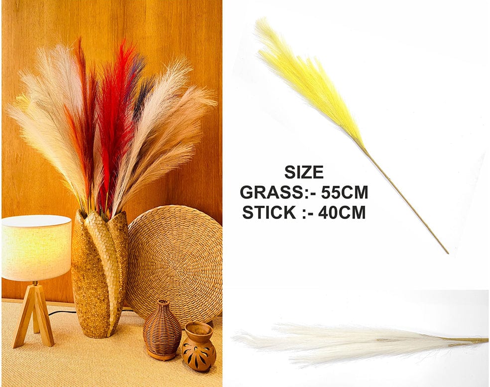 Off White Plain Pampas Grass