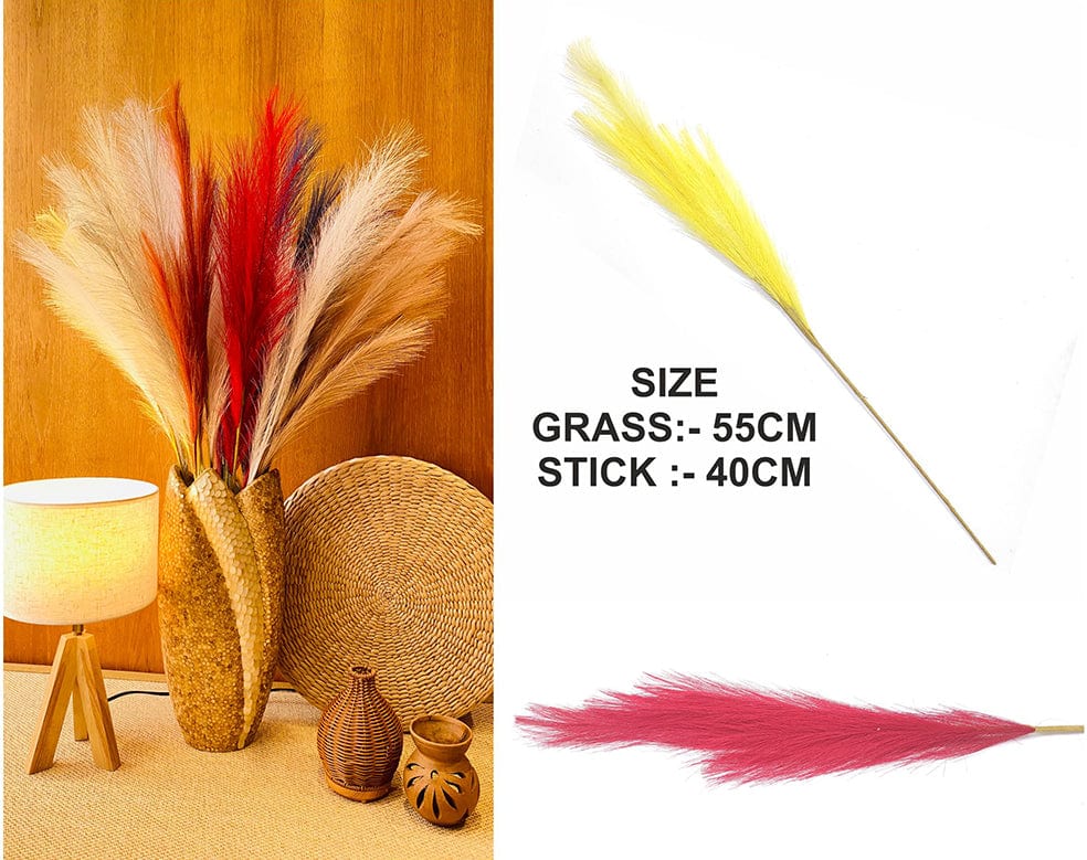 Red Plain Pampas Grass