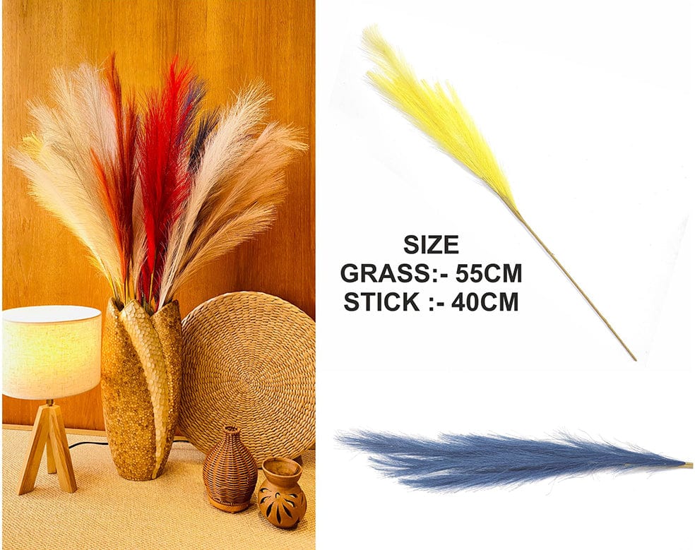 Blue Plain Pampas Grass