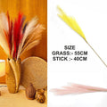 L.Pink Plain Pampas Grass