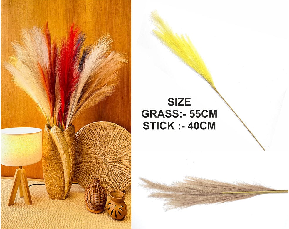 Brown Plain Pampas Grass