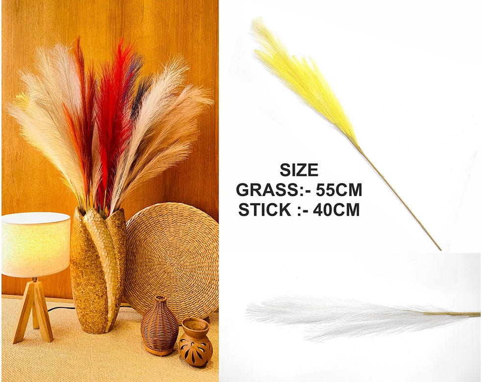 White Plain Pampas Grass