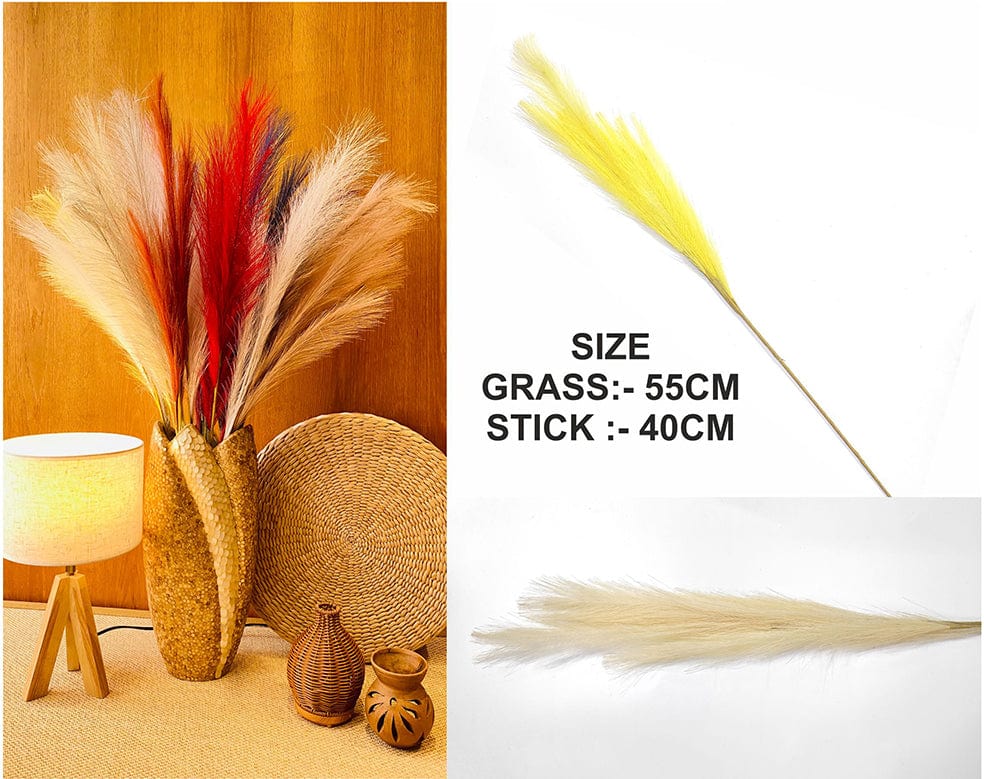 Ivory Plain Pampas Grass