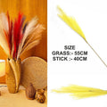 Yellow Plain Pampas Grass