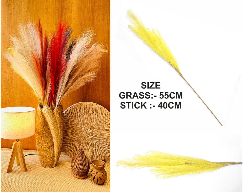 Yellow Plain Pampas Grass