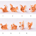 Squirrel Miniature