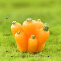 Carrot Miniature