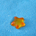 Starfish -A Miniature