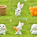 6Pcs Rabbit and Carrot Fairy Garden Kit miniature