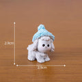 Little Shih Tzu Puppy