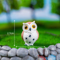 White Belly Light Brown Owl