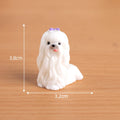 Purple Bow White Tail Maltese Dog