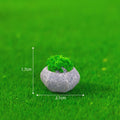 Multi-Sided Grass Terrace