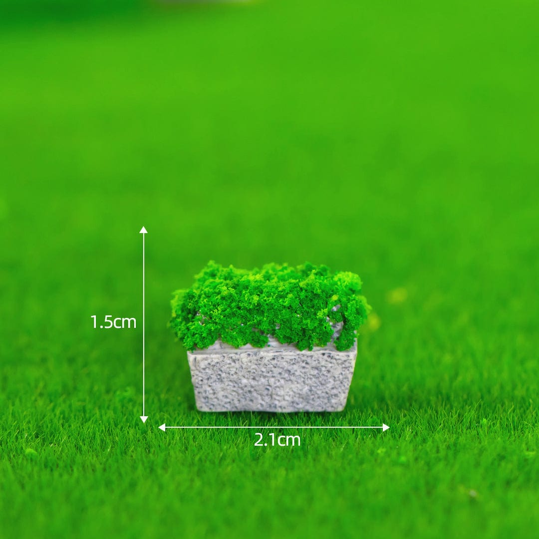 Small Rectangular Grass Terrace