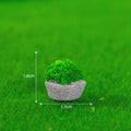 Fan-Shaped Brick Grass