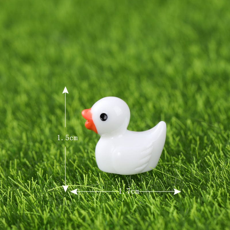 Little White Duck