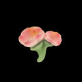 Flower D03 Miniature