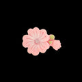 Flower D12 Miniature